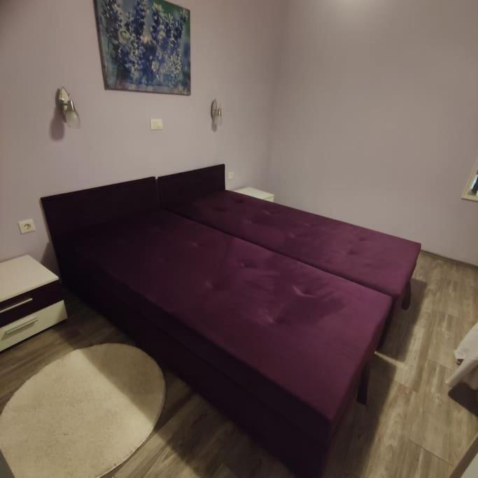 Apartman Den,Rovinj Oaza U Centru Grada I Besplatnim Parkingom Daire Dış mekan fotoğraf