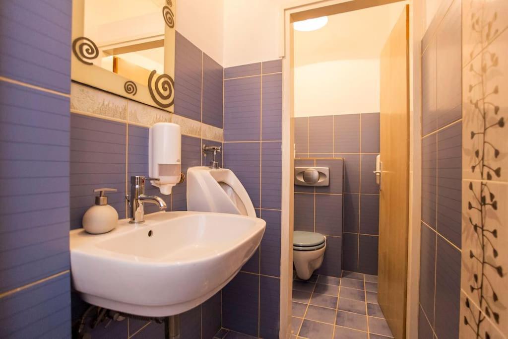 Apartman Den,Rovinj Oaza U Centru Grada I Besplatnim Parkingom Daire Dış mekan fotoğraf