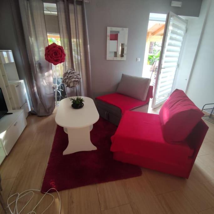 Apartman Den,Rovinj Oaza U Centru Grada I Besplatnim Parkingom Daire Dış mekan fotoğraf