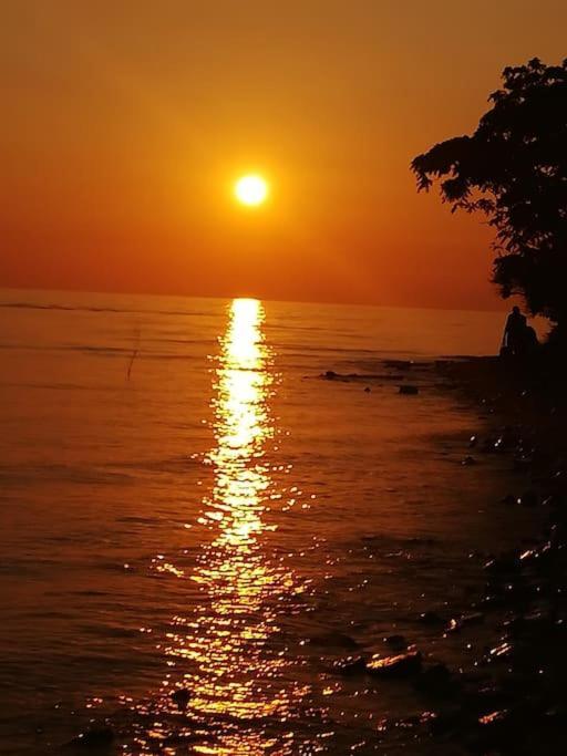 Apartman Den,Rovinj Oaza U Centru Grada I Besplatnim Parkingom Daire Dış mekan fotoğraf