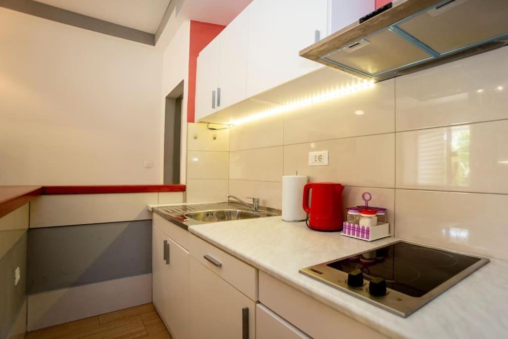 Apartman Den,Rovinj Oaza U Centru Grada I Besplatnim Parkingom Daire Dış mekan fotoğraf